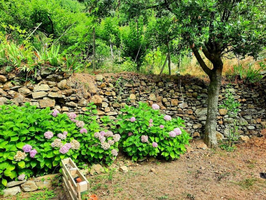Il Limoneto Dei Cinque Sensi,Apartment With Garden Vernazza Exterior photo